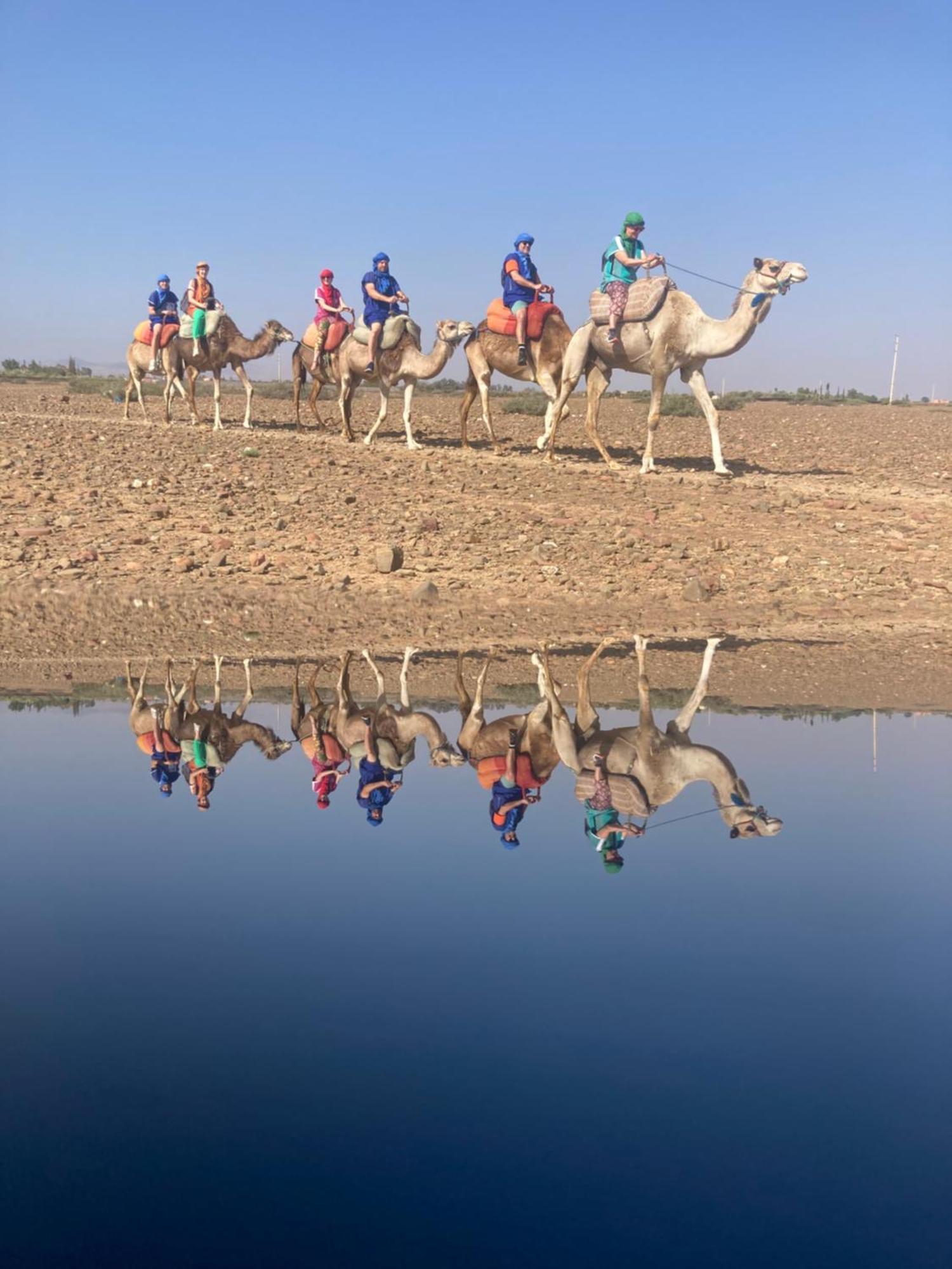 Marrakech Gueliz *