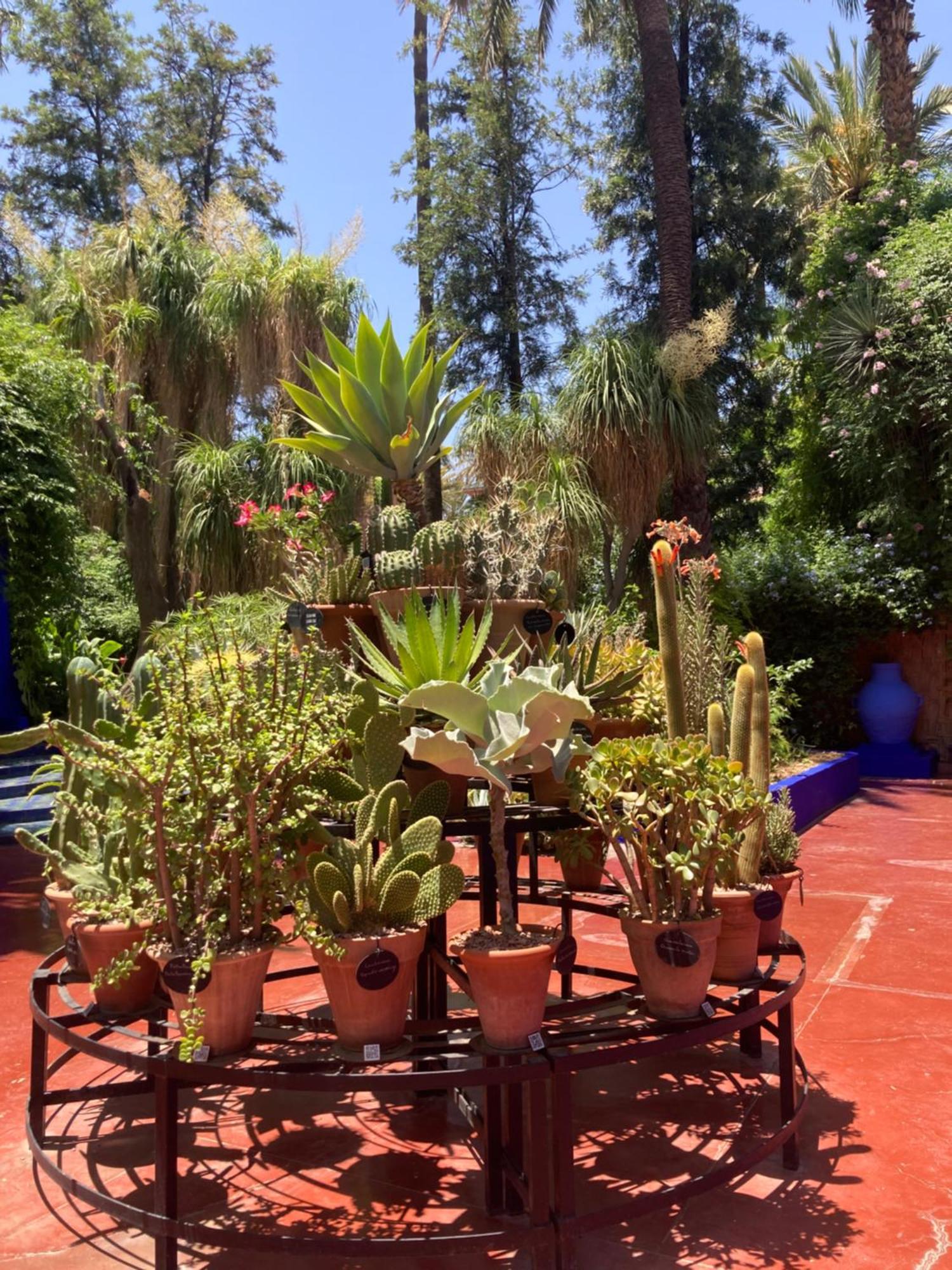 Marrakech Gueliz Appartamento