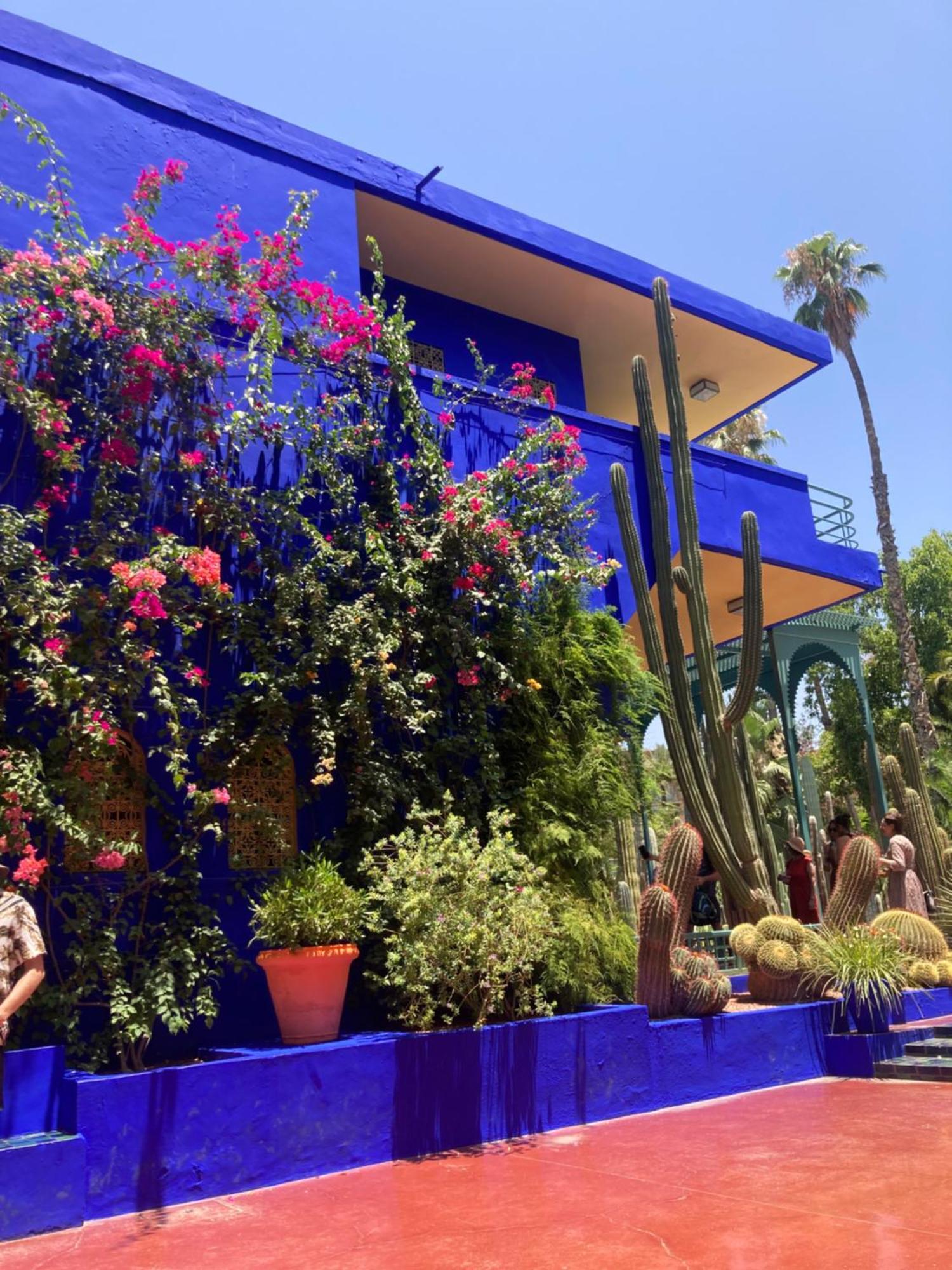 Marrakech Gueliz Appartement Marrakesh